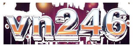 vn246 logo